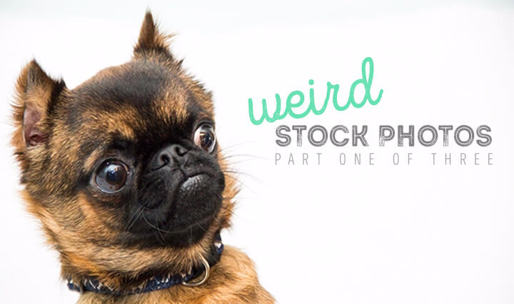 Weird Stock Photos 